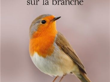 Week-end ultra bénéfique